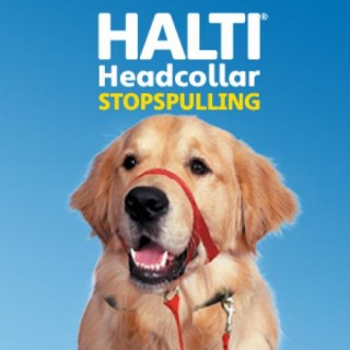 halti-headcollar