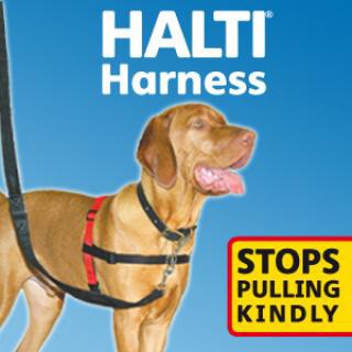 halti_harness-web