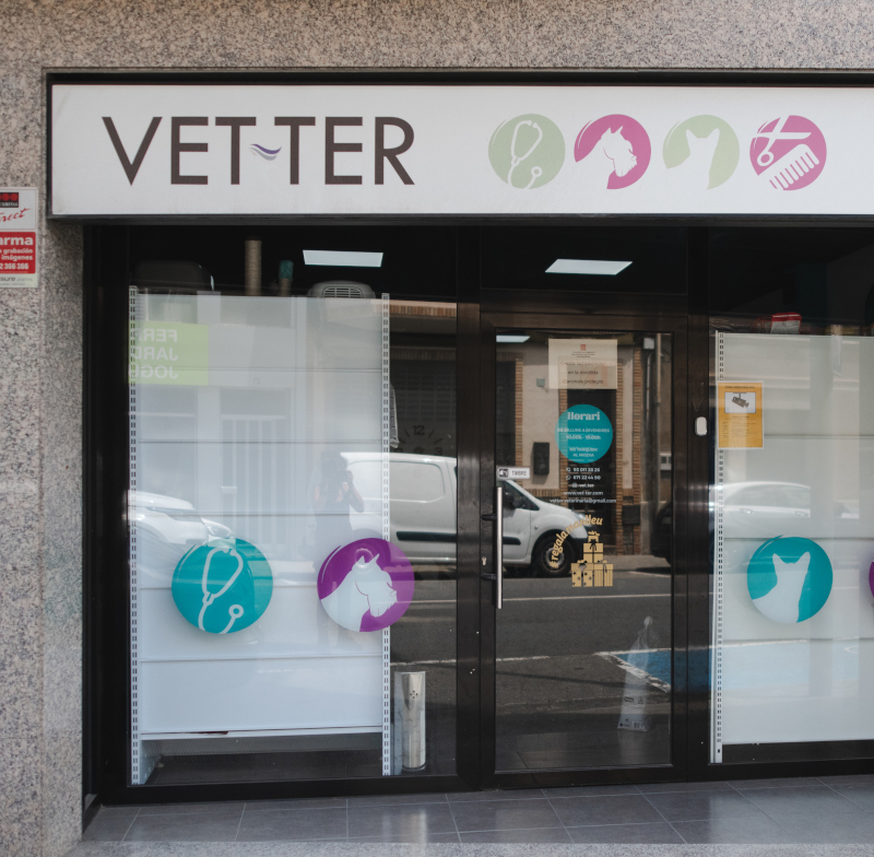 Clínica Vet-Ter: Servicios Veterinarios Integrales